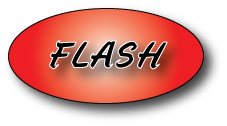 flash btn