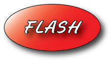 flash btn